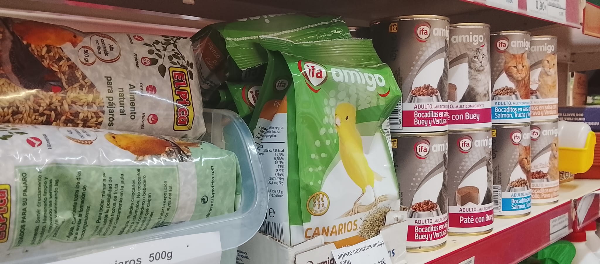 Lagarto